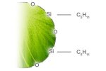 Luna - C5 Phase - HPLC Columns