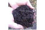 DAB Sludge Utilization System (DABSUS)