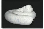 Roll Off Super Sock