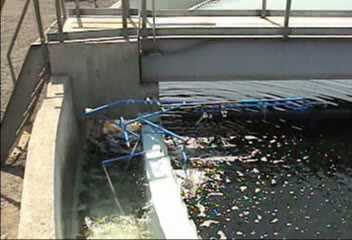 Articulated Spray Video