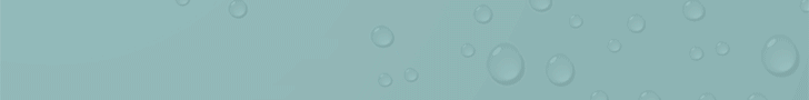 World Water Works, Inc.