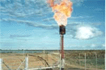 Biogas Handling Systems