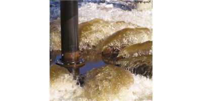 Carrousel - Systems For Biological Nutrient Removal
