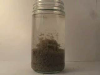 Floccin Demo