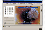 DVRlive - The Digital Video Recorder within your pc