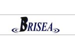 BRISEA Group, Inc.