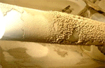 Cooling Water Consultancy