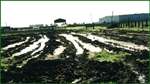 Stormwater Compliance Manager