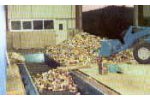 Sorting Machinery & Equipment For The Recycling Industry