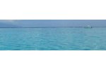 Pre-Treatment for Desalination