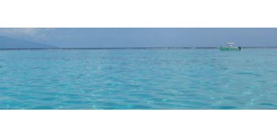 Pre-Treatment for Desalination