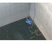 Algae and Biofilm control project for a drinking water treatment plant in Cyprus