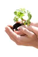 Spectroquant&reg; Waste Disposal Guidelines