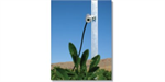 Infrared Temperature Sensors