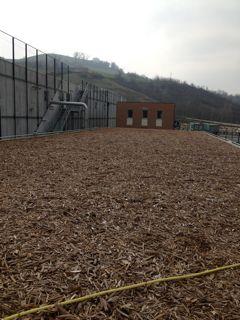 The simple, effective and economical treatment of odourous emissions