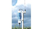 NEW SapIP - Wireless Mesh Network