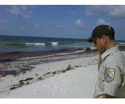 Cleanup work after BP oil spill end in 3 states