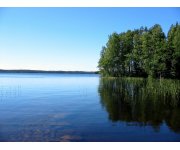 IEA says push for renewables and nuclear power is coherent with Finland’s long-term decarbonisation strategy