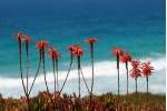 Environmental Reporting Services