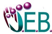 JEB Environmental Services, LLC