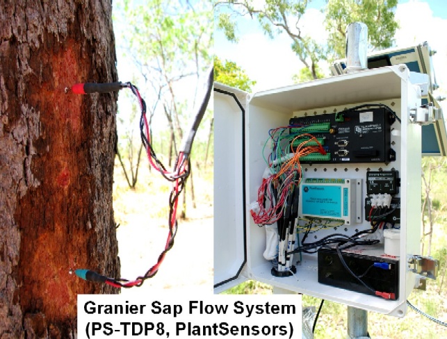 PlantSensors' most popular PS-TDP8 Sap flow system
