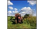 Agriculture