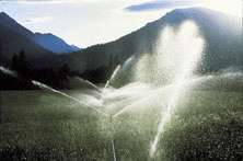 Water Reuse and Desalination