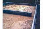 Water & Wastewater Treatment Solutions for the Food and Beverage Industry