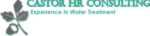 Castor HR Consulting Ltd