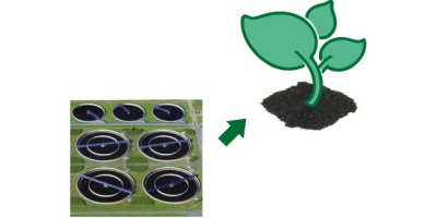 The Treatment of Sewage Sludge
