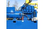 Dual Fuel Engines for Biogas CHP