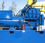 Dual Fuel Engines for Biogas CHP