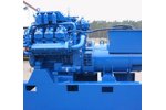 Gas Engines for Biogas CHP