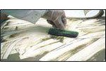 Genesol - 40 - Alkaline Cleaner