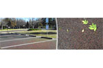 FilterPave® Porous Pavement System