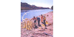Inland Oil Spill Response Course