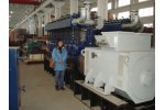 Electricity Generators