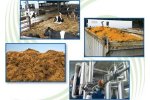 BioEnergy - Technologies for Farms, Food Processors and Electric Utilities