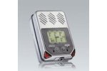 ITX 4 Gas Meter