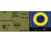 All Zero-Valent Iron (ZVI) Remediation Products ARE NOT THE SAME