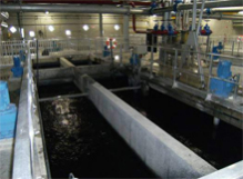 Actiflo - Powdered Activated Carbon