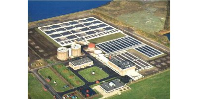 Reduction In Nitrogen And Phosphorus Levels