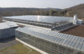 Solia - Greenhouse Solar Sludge Drying