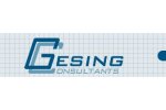 Gesing Consultants Inc.