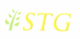 STG Corporation