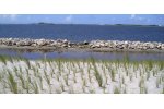 Environmental Science
