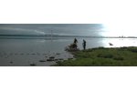 Environmental Monitoring Service