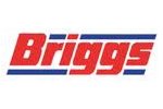 Briggs Marine & Environmental Services