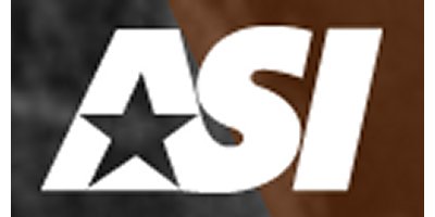 American Safety Insurance Group