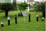 Solar Lawn LIght